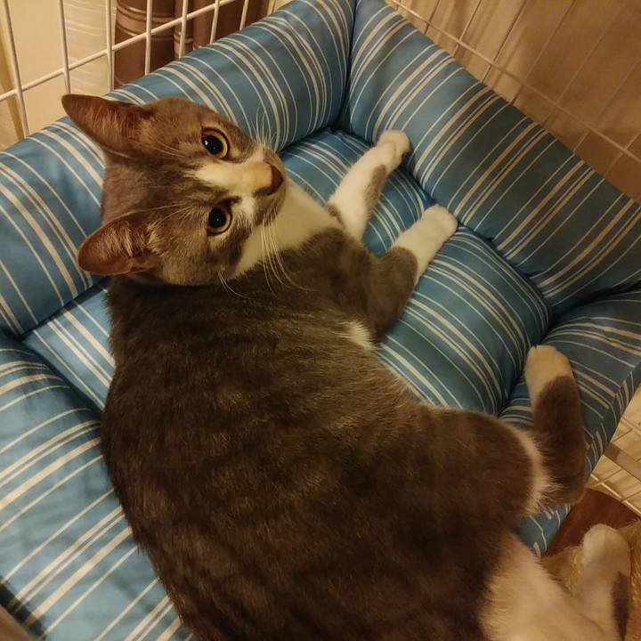 7e911ffe 5b5e 41f7 8ae5 f2f2df6980d3 1595455991895