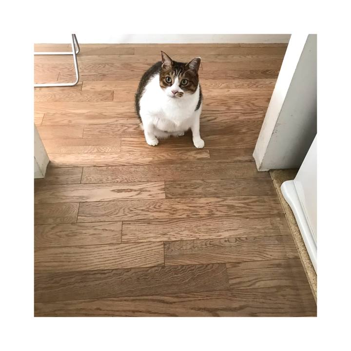 7e912bd1 72b9 469a 9540 089fee763b18 1639650816962