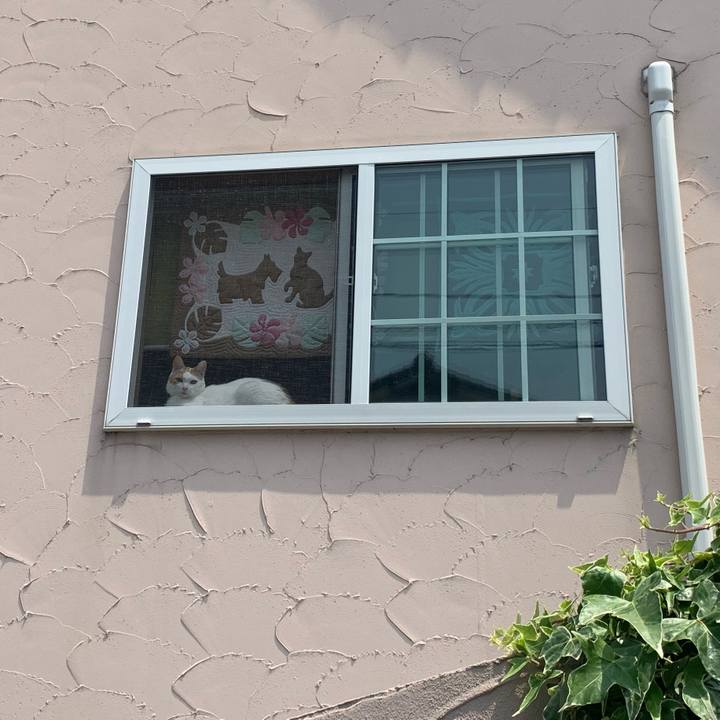 7e914ac6 9cde 4af7 a01f eacd55a7df3f 1588655264742