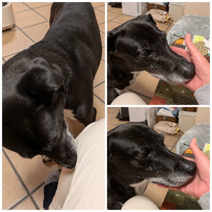 7e914f1e d8bd 42a6 be0a 7e7fc137771e 1731765564561