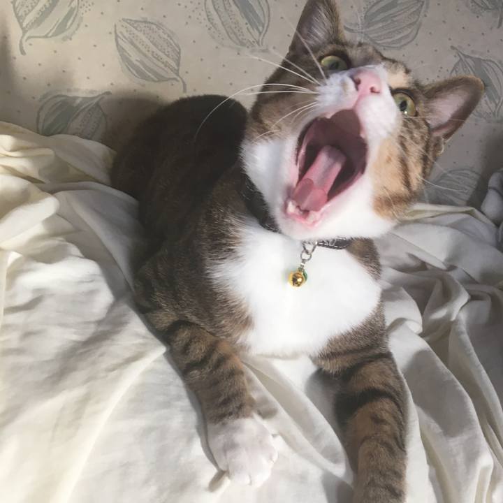 7e91cfae 6466 4d7f 98c9 a9ece049c709 1684107277630