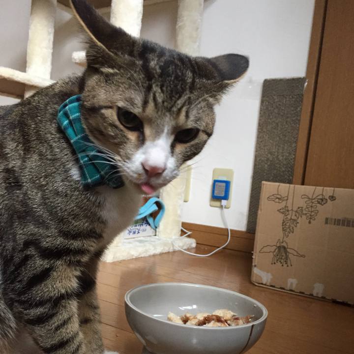 7e91e7cd 37e7 4c45 9a68 73070e9ff2d1 1669510786934