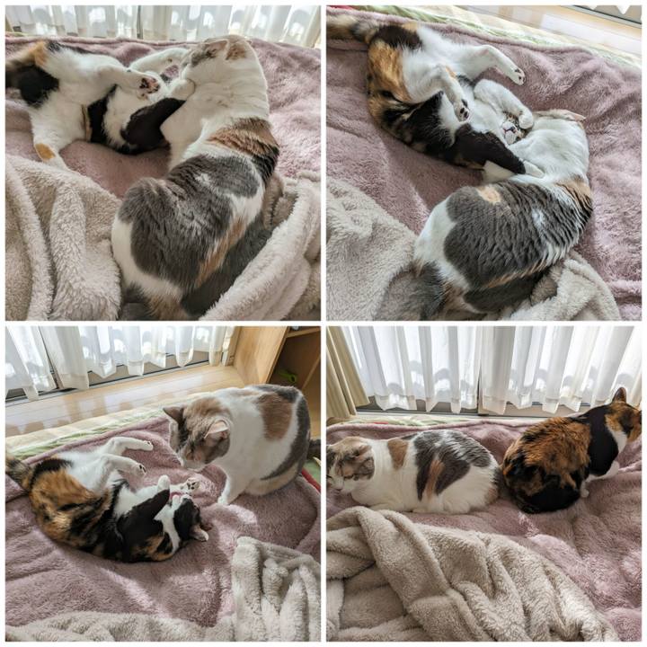 7e9200ac bb12 4335 8333 a63cb1c869e4 1707015385794