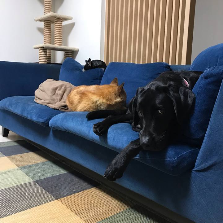 7e920c84 761c 4474 9aeb 9e4f809463ec 1565093935838