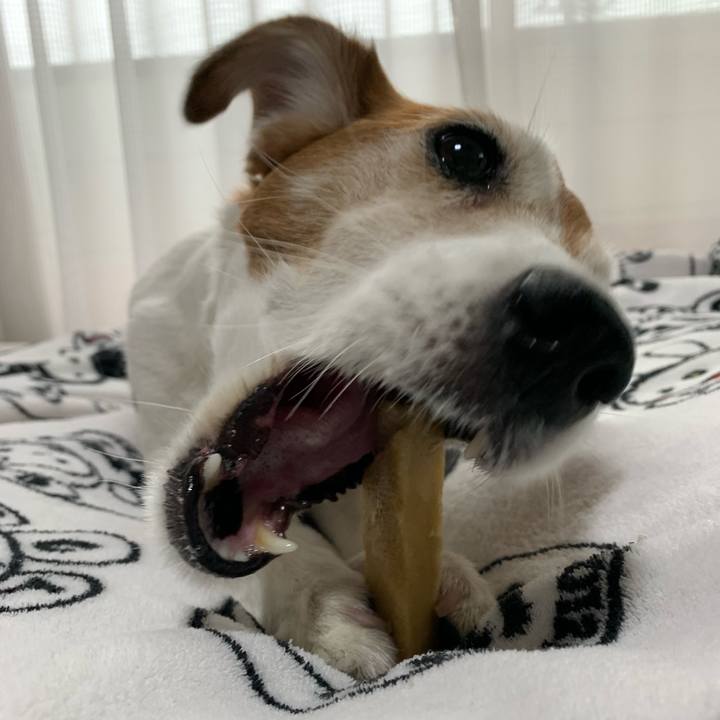 7e922735 4aa2 445d 95c1 364a7e157376 1561856971208