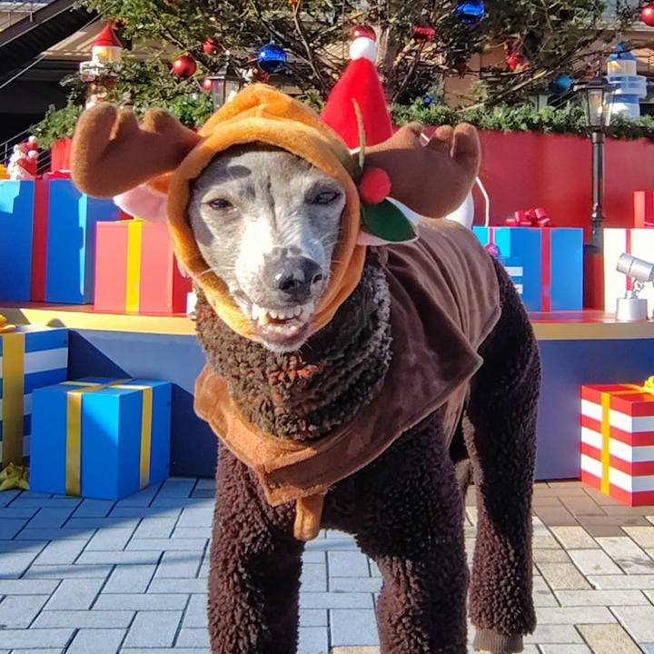 7e926362 b09a 418a 8b60 321f5962dc35 1766563207023