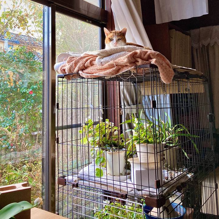 7e926464 25c2 478b adb4 3cf4cb95af70 1667889792248