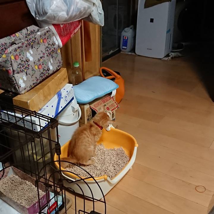 7e92694e e48b 420d af4f 9c57a2e74e8f 1628976404712