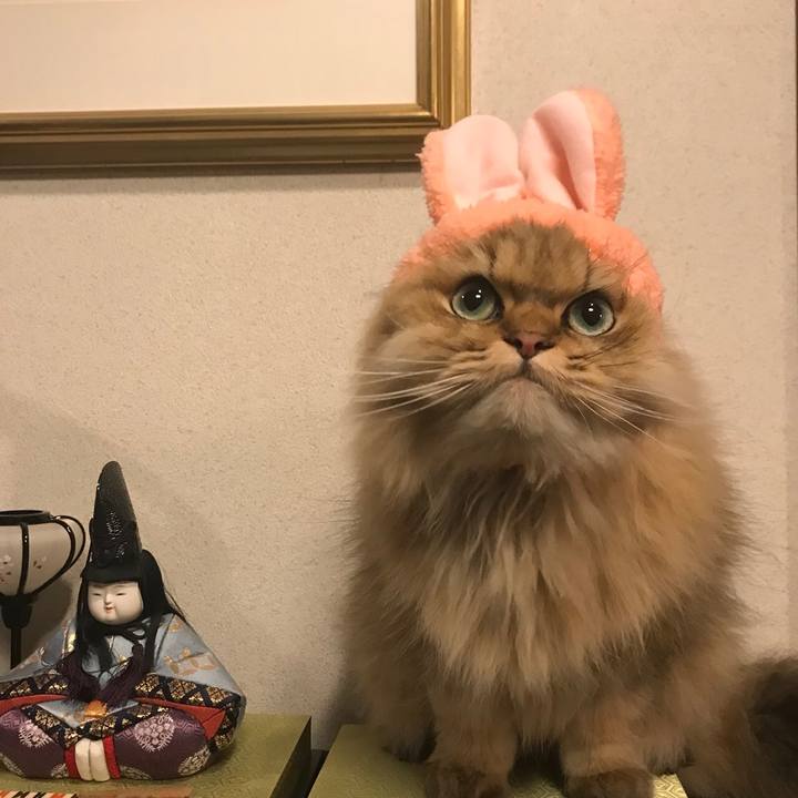 7e92a6ee 006c 46f1 bb4e 694954abc219 1520147846512