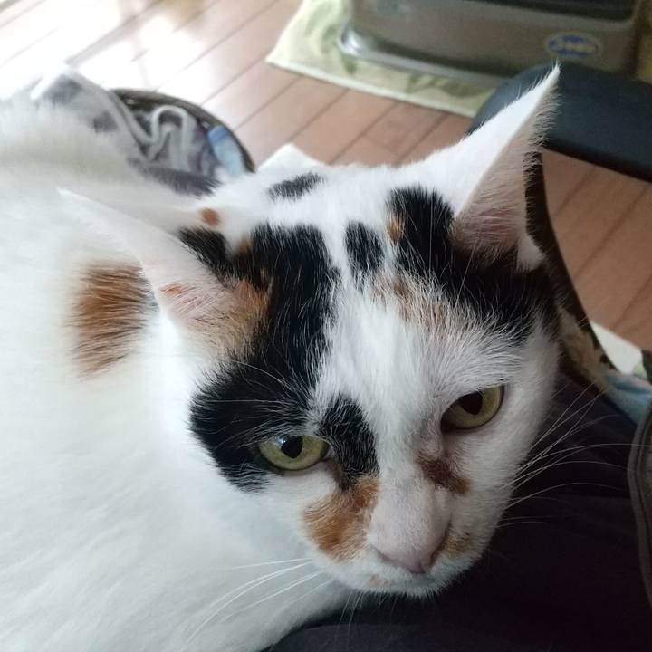 7e92c224 32f8 49dd afff 9a543bc8ce5a 1673239468948