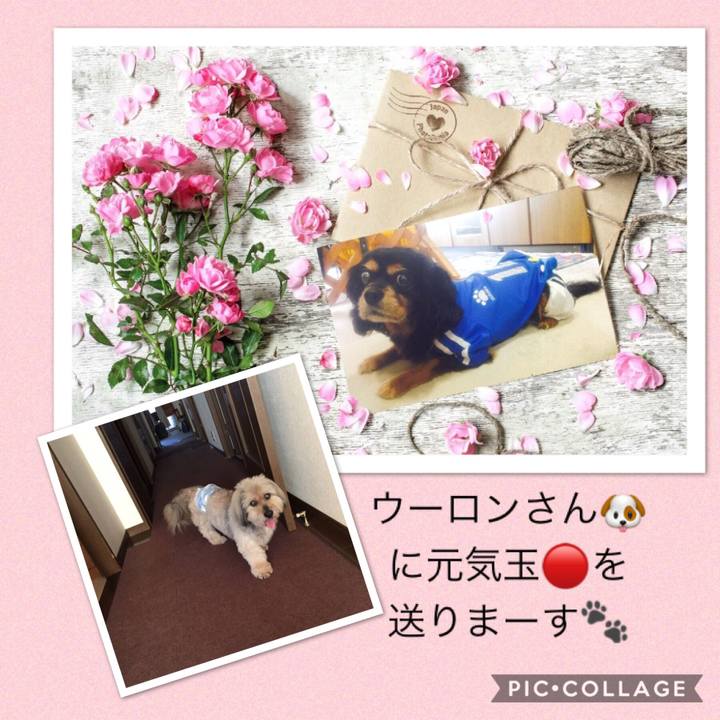 7e92dc51 a53f 4647 8aa9 943b944eb73e 1532565856428