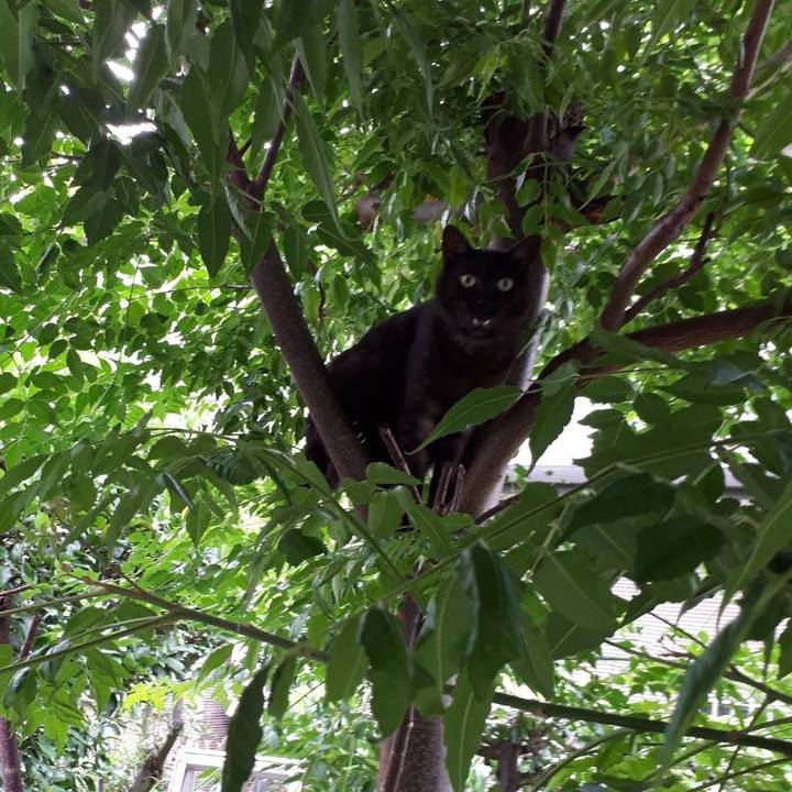 7e92ddc1 d5ea 443e a461 f9be46034d18 1624439562531