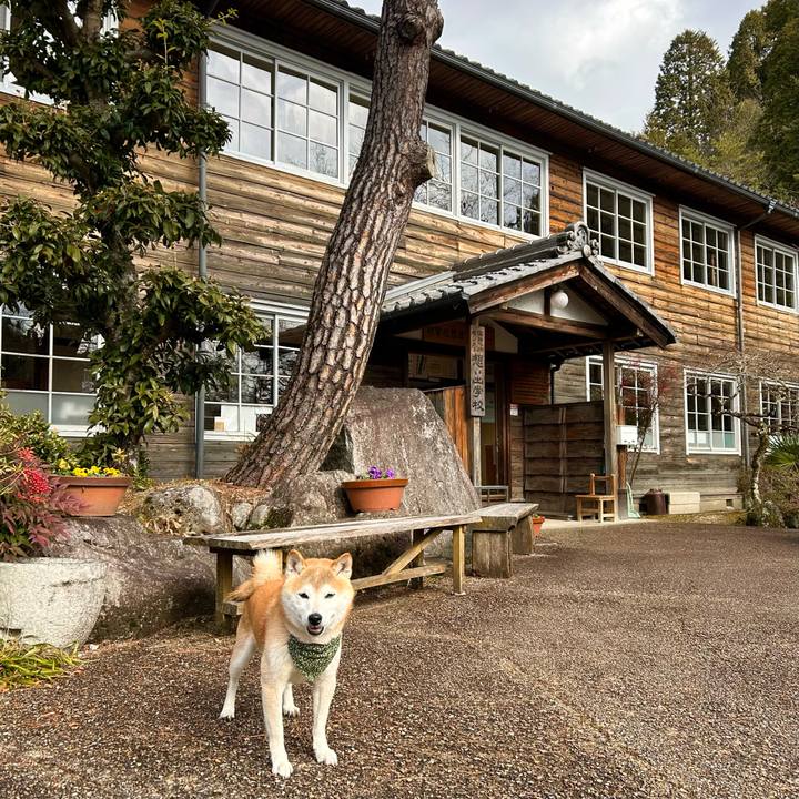 7e92ea7b 143e 435c 92ea 27b873a2adc3 1705660528973