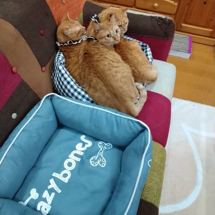 7e9314a4 f010 4aed 8721 f987c0c44309 1602340711178