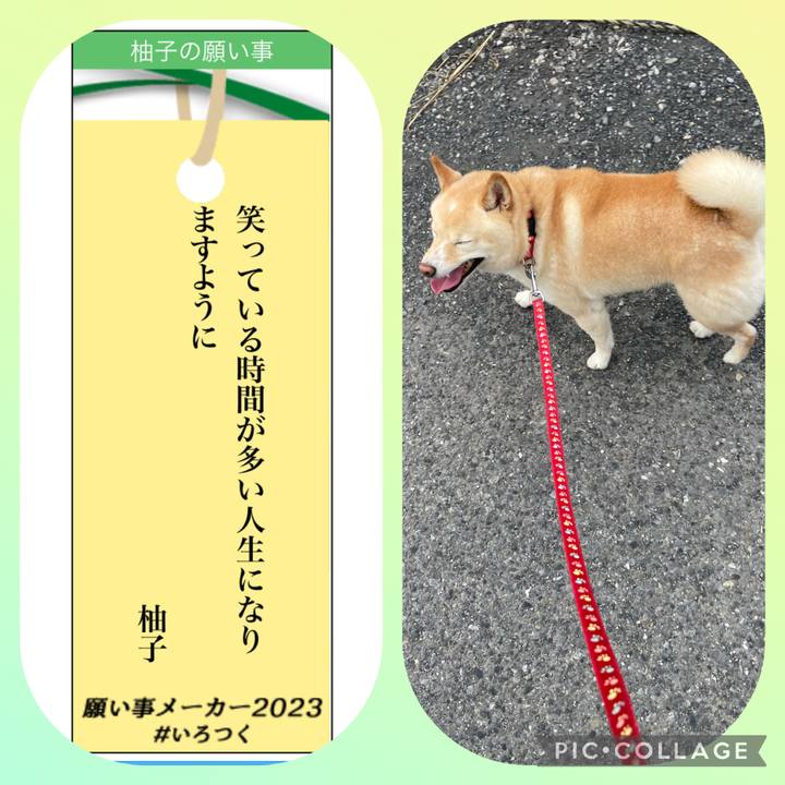 7e931a44 9535 4ac3 ba8b d08b31802646 1688726261795