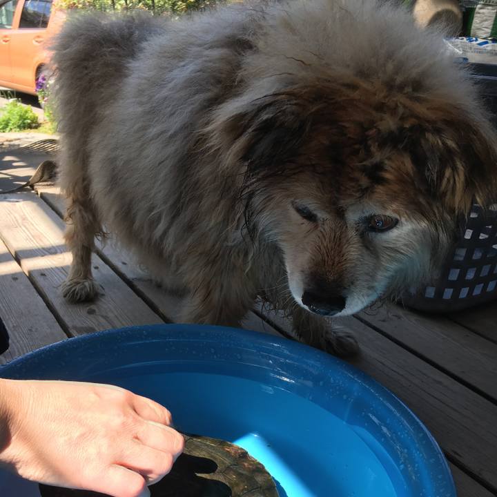 7e9392d4 45f2 4164 bcb9 6647f02b5755 1597803748863