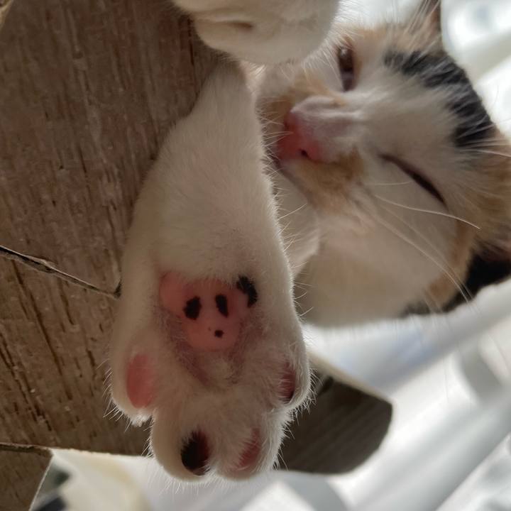 7e93a976 590e 4136 987f fd1741e6127e 1669249262213