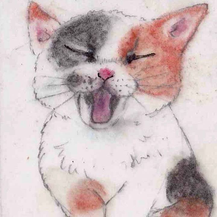 7e93ef71 bb47 436b b996 1b839d7cdbcf 1660091898504