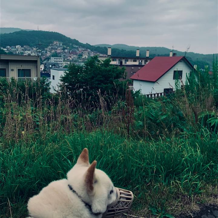 7e945aae fdbb 458d a5b4 c2cea4a7fb83 1596573401932