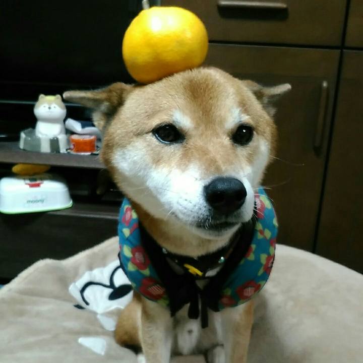 7e945ecb 96e8 4a57 823b 3a7f6a18a17f 1573465004449