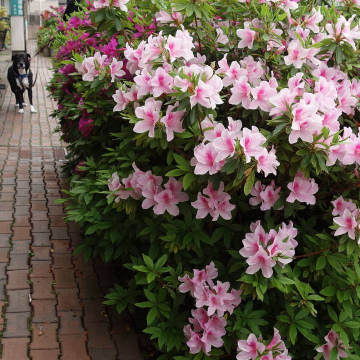 7e947512 eb05 4e65 bb84 22c6e81e49f6 1745453946224