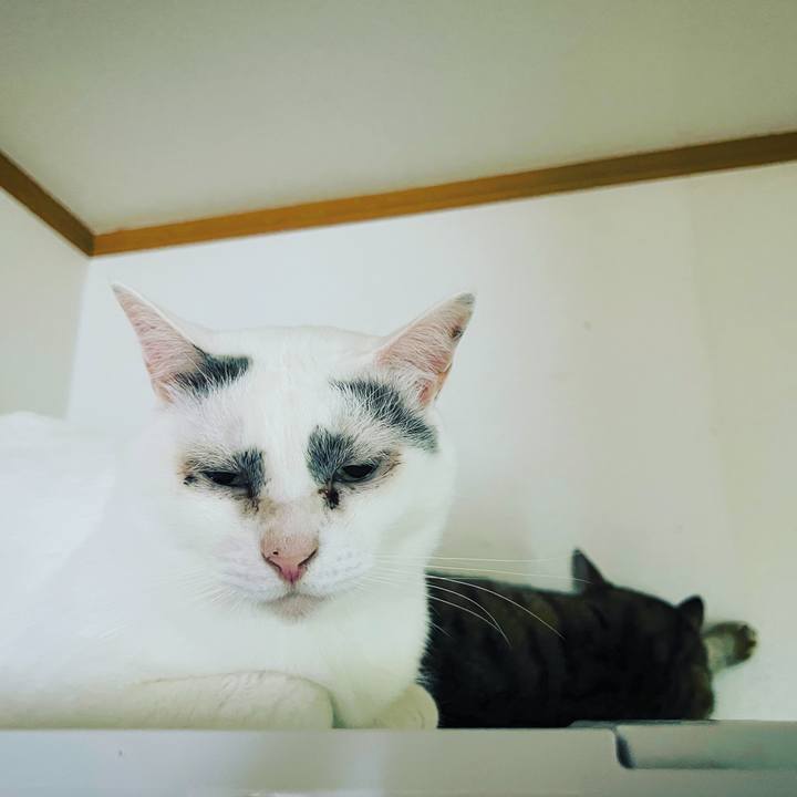 7e94a60e 8d82 4bb2 992a 56f098d04744 1656168508835