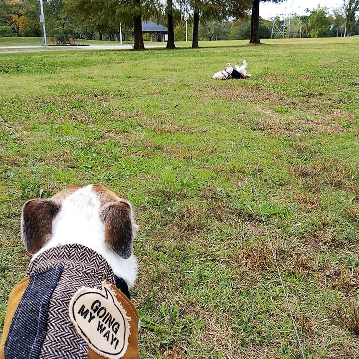 7e94dbb5 263d 4357 a723 65d8d5652aa5 1540617060361