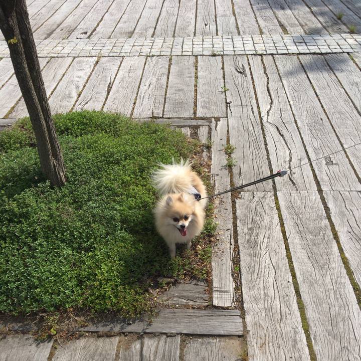 7e94e91a a25f 4a34 84f5 540e753faf36 1527676401478