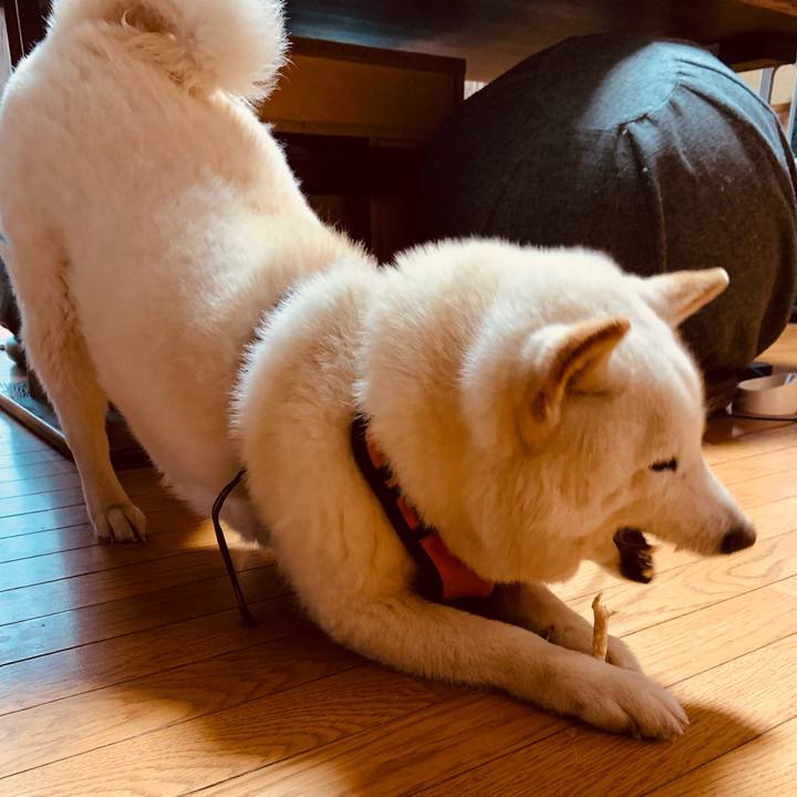 7e94f722 9082 4bcd 9b26 325ab24d2dc8 1650487601174