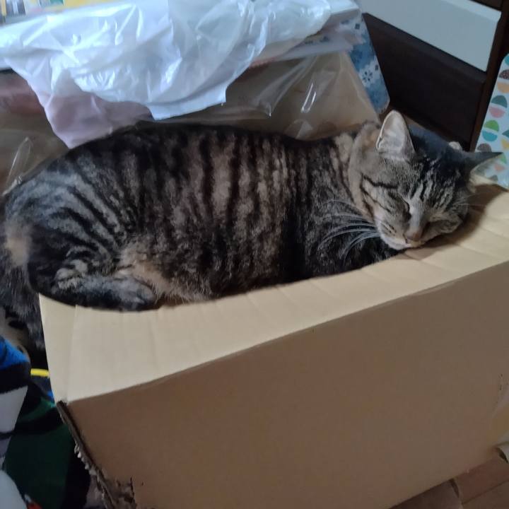 7e950177 9f41 496b b54c 806bf1e4d1b7 1676939429765