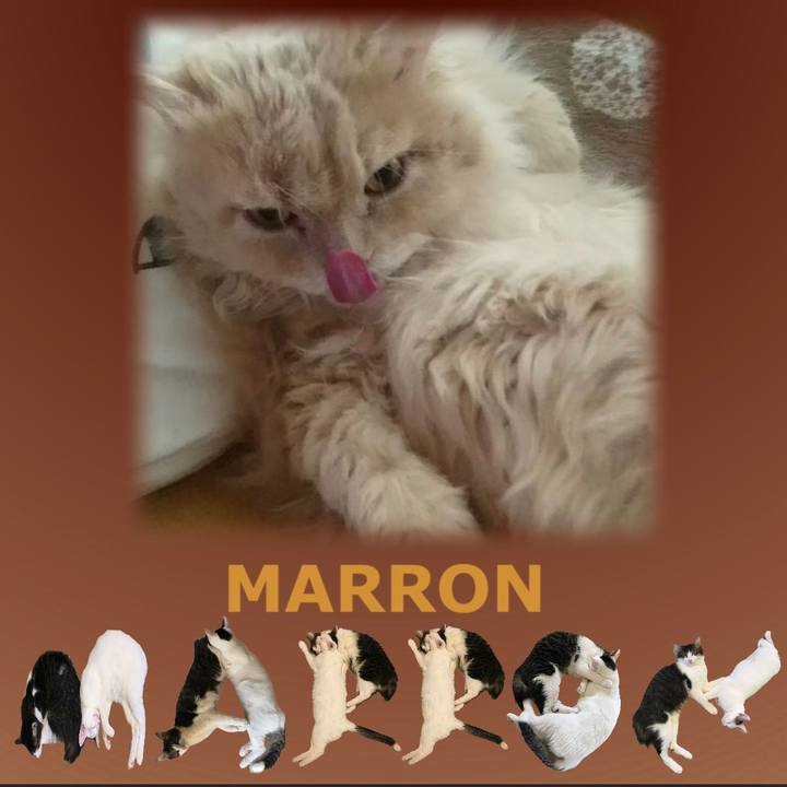 7e952036 8d35 48de 9fcf d4e6f4593e64 1670901383445