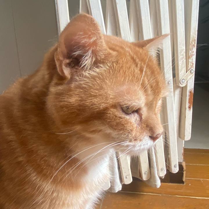 7e95373c 1326 420e a529 7e52d31928fb 1658105342544