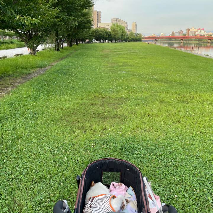 7e953a33 5425 49f8 8c15 fe278d451c7d 1658222616992