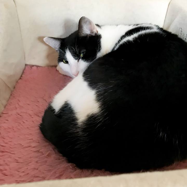 7e9556b4 3201 4522 ab1b 4df13719d5a8 1516767970096