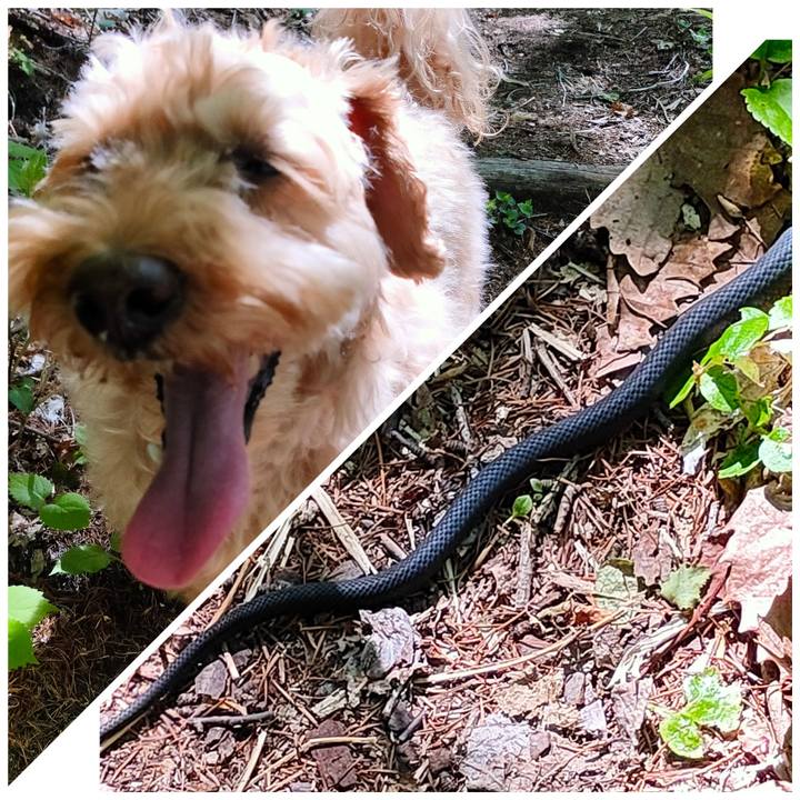 7e955de0 288b 485e 8806 d0d7bb744e4e 1590804221640