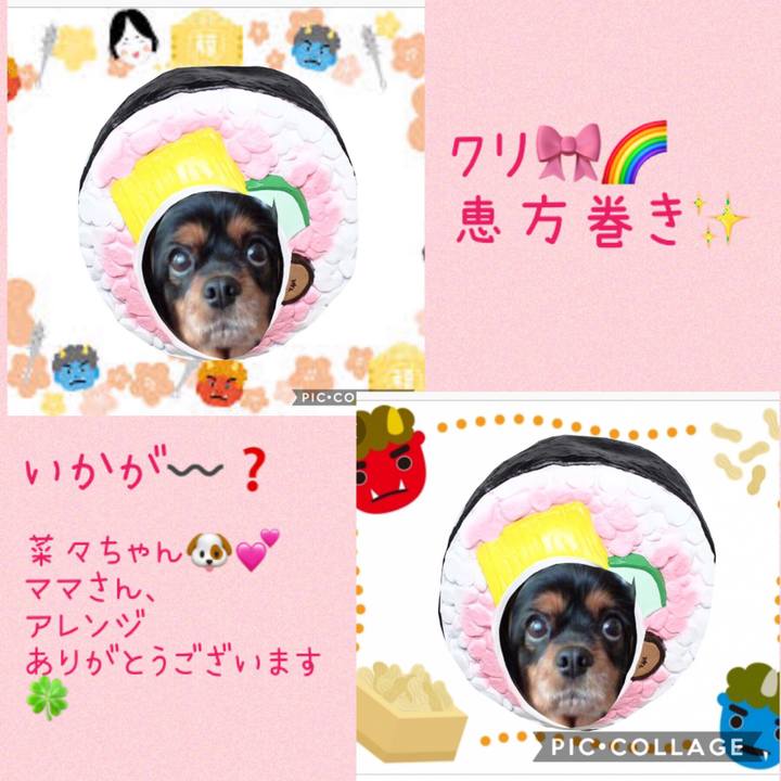 7e9567ad 8bcd 44b0 9aa7 2d9134a0bb59 1549243751045