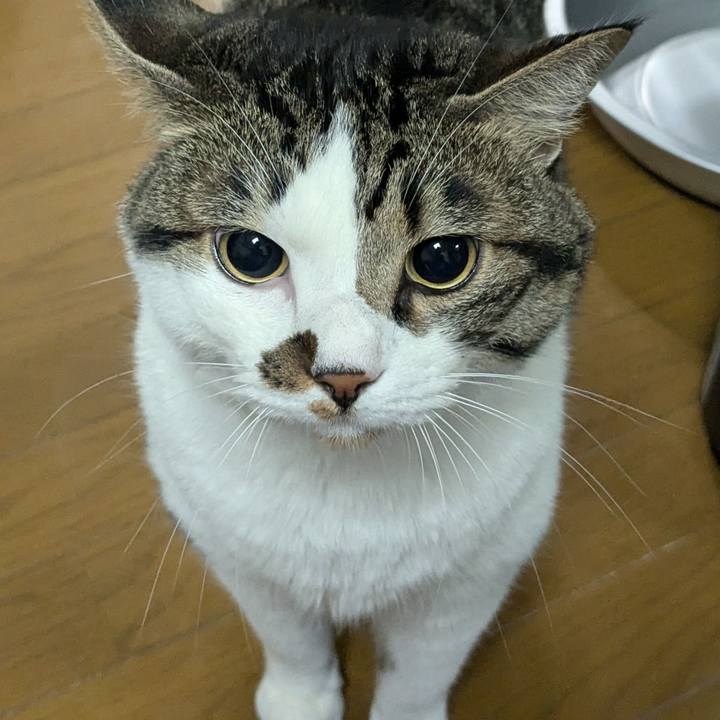 7e9578b9 a331 44d7 aa62 73e8e2320532 1722379333761