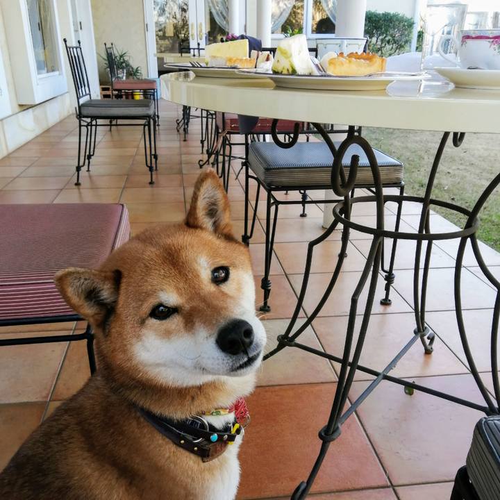 7e95e922 c334 4515 a669 4e03dbcb2c4b 1582537969247