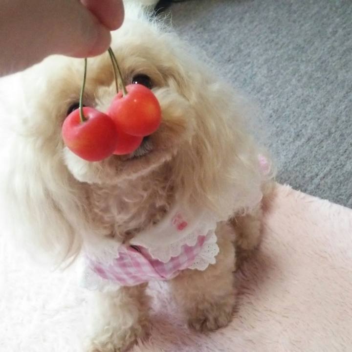 7e95fced b186 47c6 8b1e 59887ee9ccf2 1561552950029