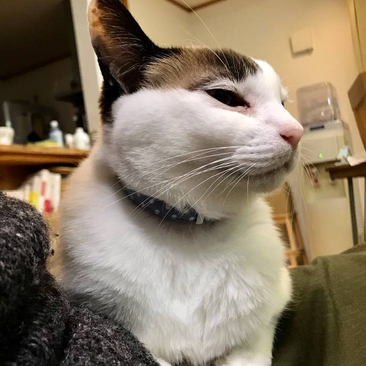 7e960378 3bb7 46ca bdf4 f06095bf7316 1609118433141