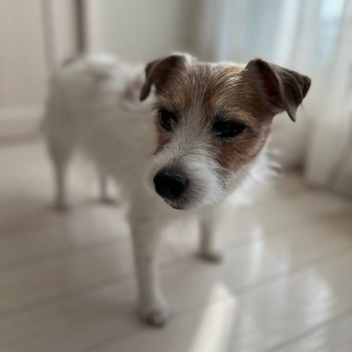 7e961b1a 4f37 4c68 a6e2 fde7f0cd64cf 1730698267477