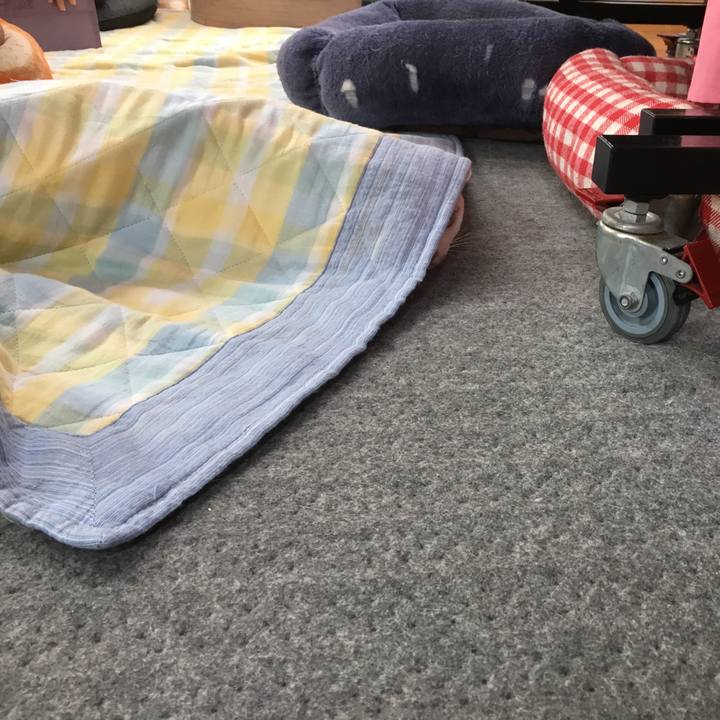 7e961f30 1f00 4ef0 98c9 d4e0f3c12625 1532575895872