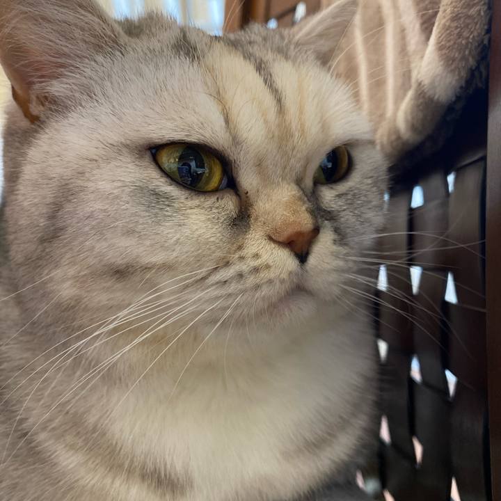 7e96271a fe81 44e0 9d3c d0a0b71a7ea6 1738143498296