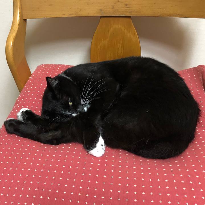 7e962851 41a6 435d a0e2 2d31ac66f3cf 1631676819446