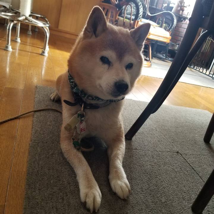 7e962bd3 bd1a 4f45 b6d5 6e3e85bd93ba 1704859108926