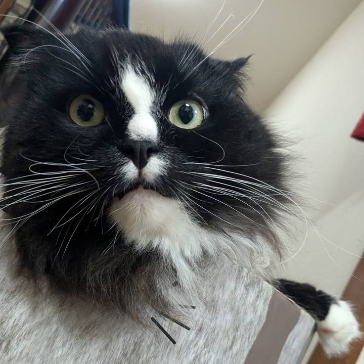 7e963086 eb77 4f72 a3fe 8d7eb9017908 1730073382390