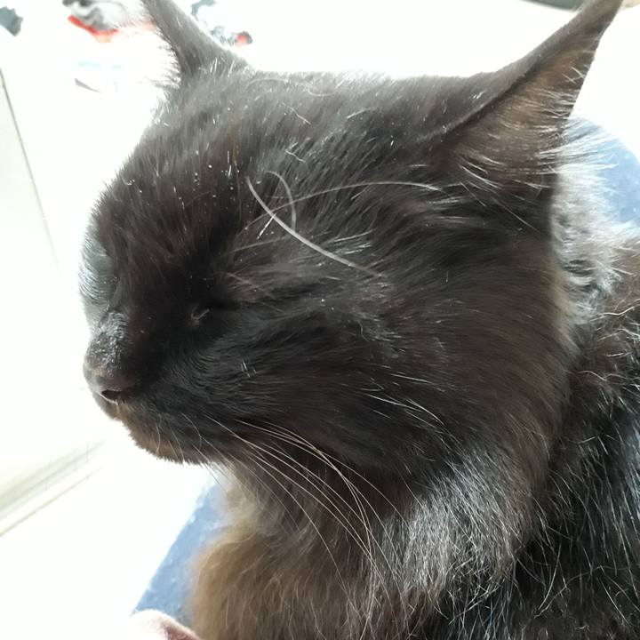 7e9634f3 d1bd 4ce8 90e7 3a33ddb3554a 1517741611876