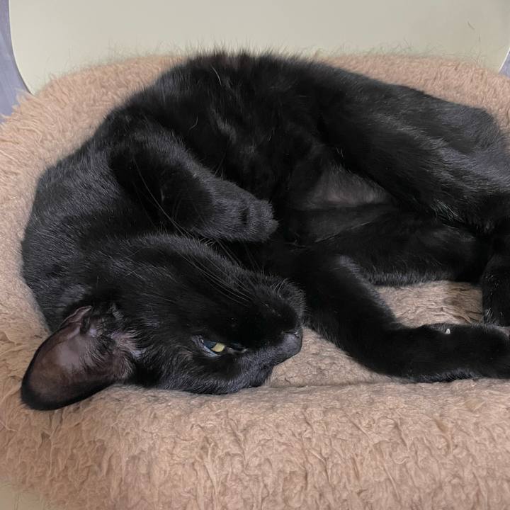 7e963e9a bf54 48ab 8a81 cae990f1731d 1664982743281