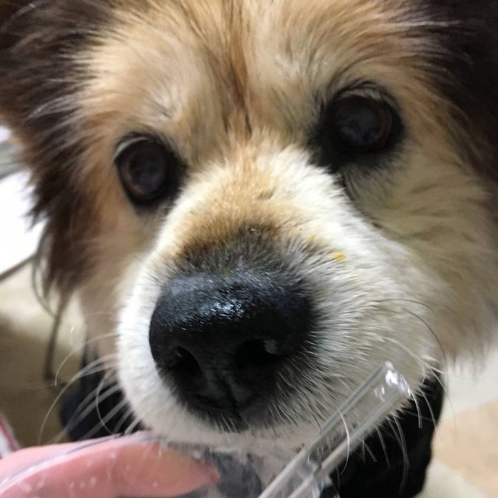 7e964559 60c5 4822 9188 525eb09cae35 1569664777144