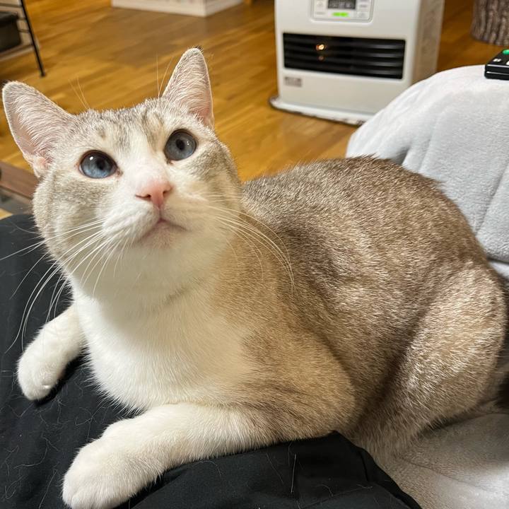 7e9660b4 8318 44f7 bf39 77489baa1d67 1701748523477